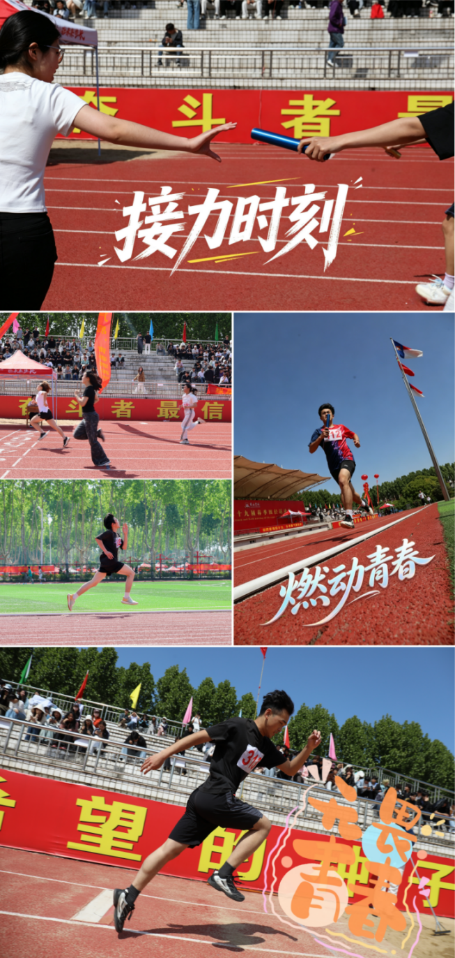 图片6.png 图片6.png