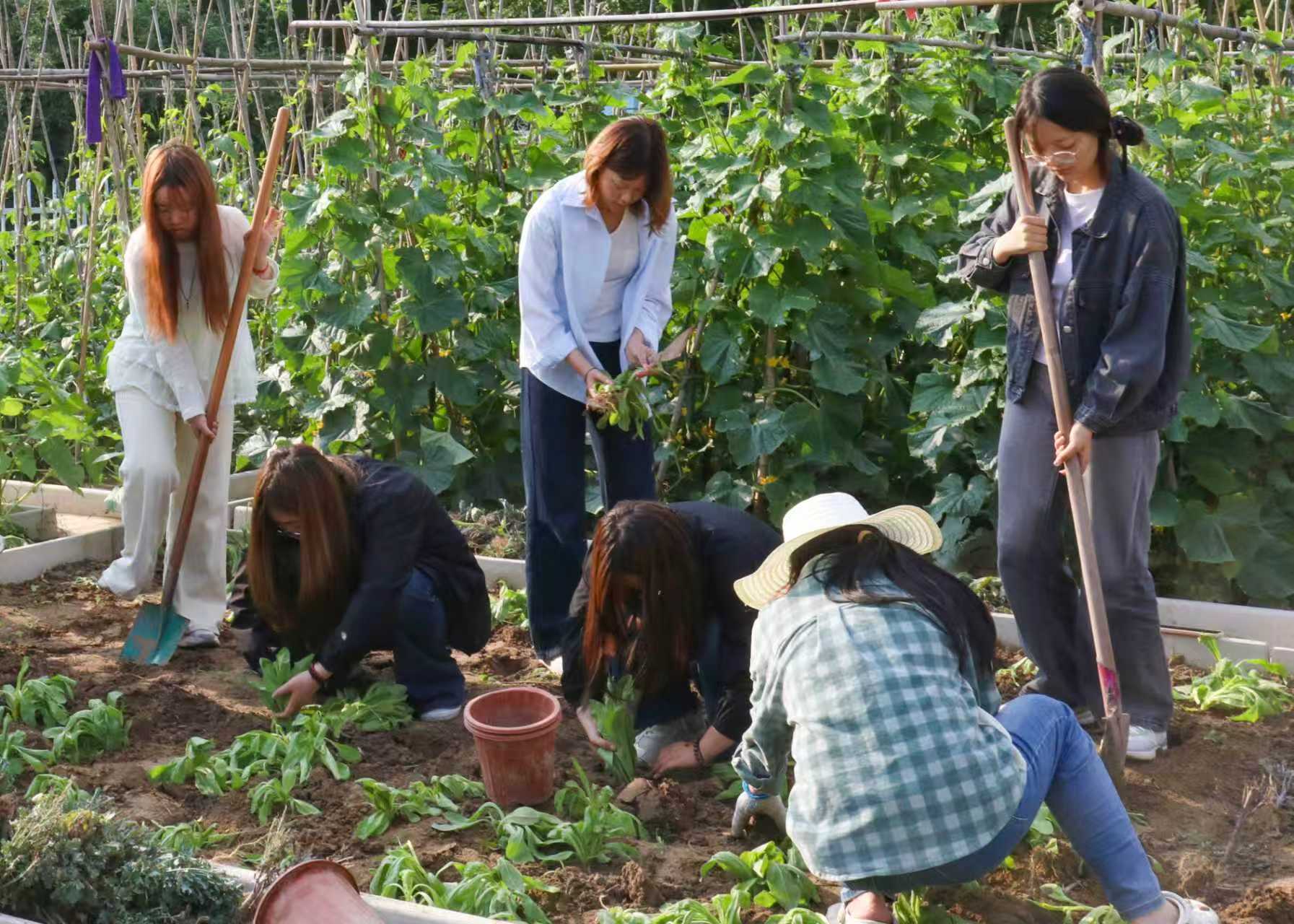 团委劳动活动 (2).jpg 团委劳动活动 (2).jpg