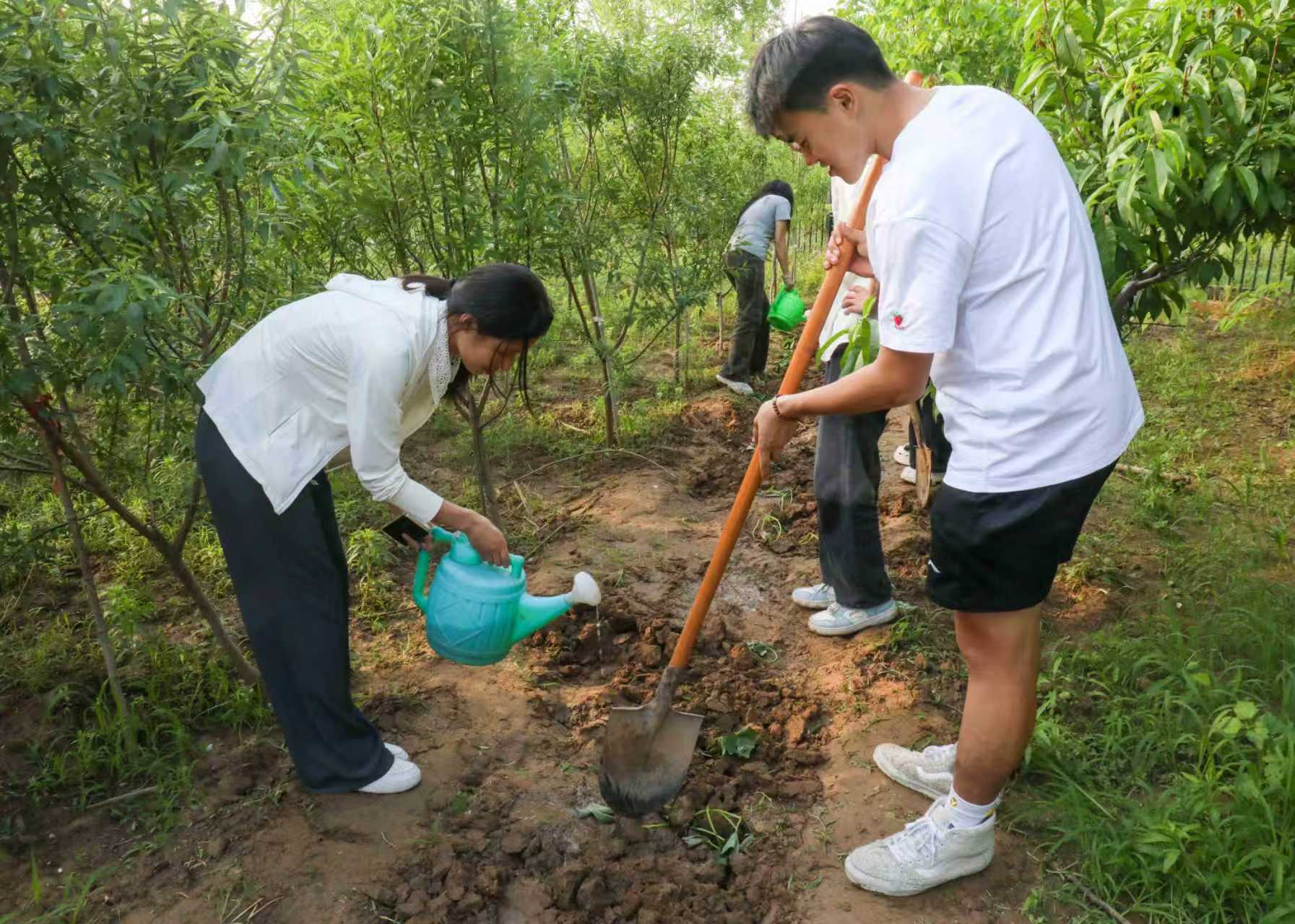 团委劳动活动 (3).jpg 团委劳动活动 (3).jpg