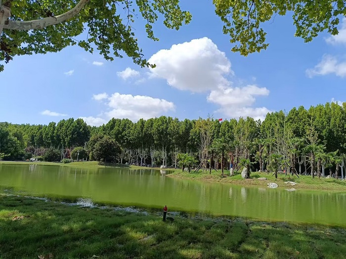 美景3.jpg