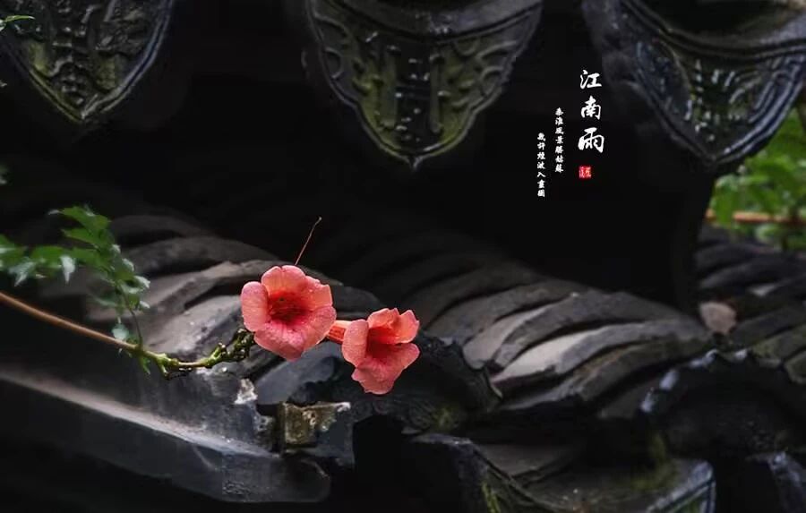a5854bcfa69630bae7d1e40bfb68be80.jpg a5854bcfa69630bae7d1e40bfb68be80.jpg