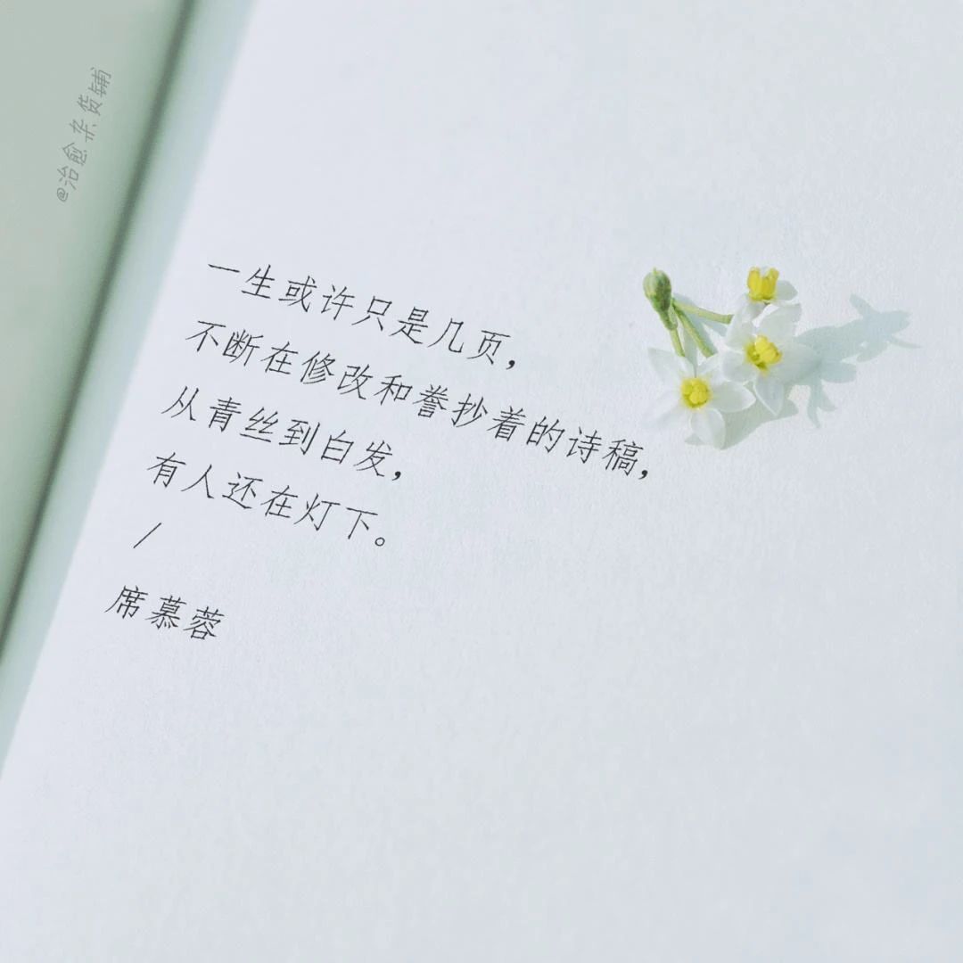 5ef28f4b385a70a5bd5454625bc0decd.jpg 5ef28f4b385a70a5bd5454625bc0decd.jpg