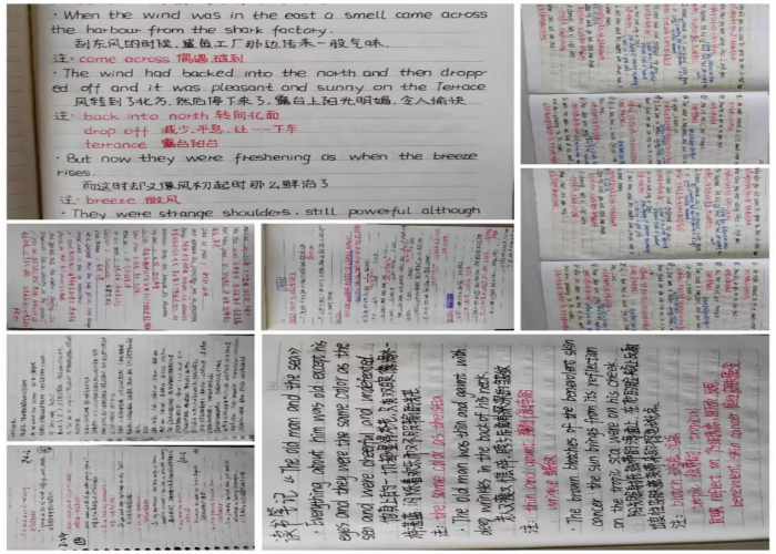 3a8a7551b200c330.png 3a8a7551b200c330.png